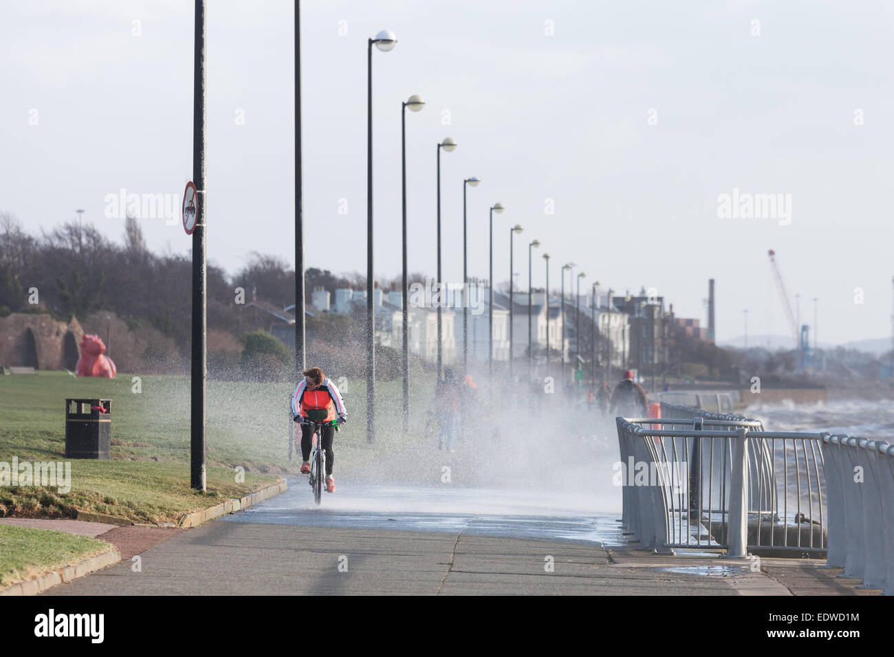 Liverpool, Merseyside, UK. 10th January, 2015. A cyclist is soaked by waves crashing over the promenade at Otterspool in Liverpool during strong winds Credit:  Adam Vaughan/Alamy Live News Stock Photo