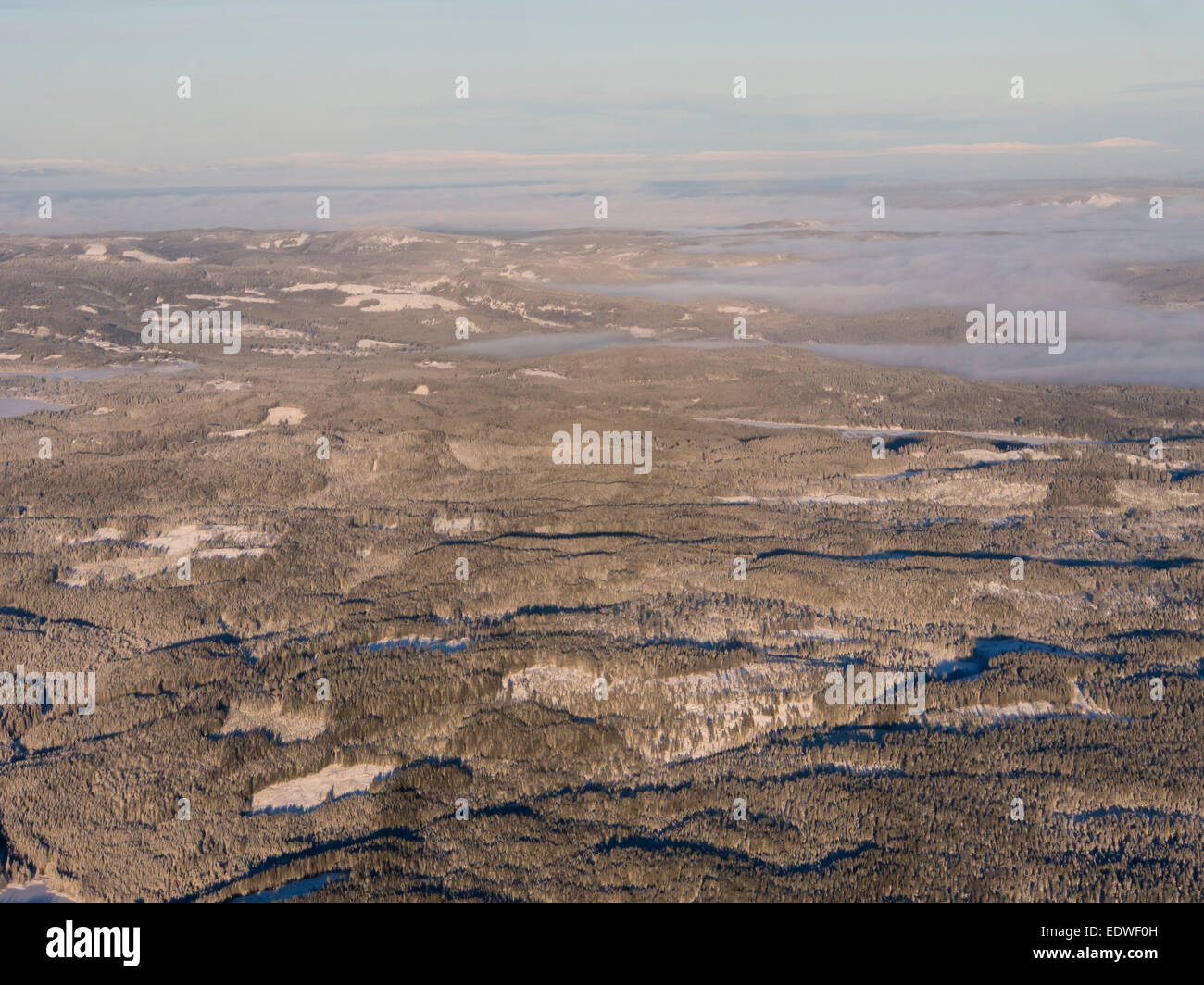 Aerial view of boreal forest hi-res stock photography and images - Alamy