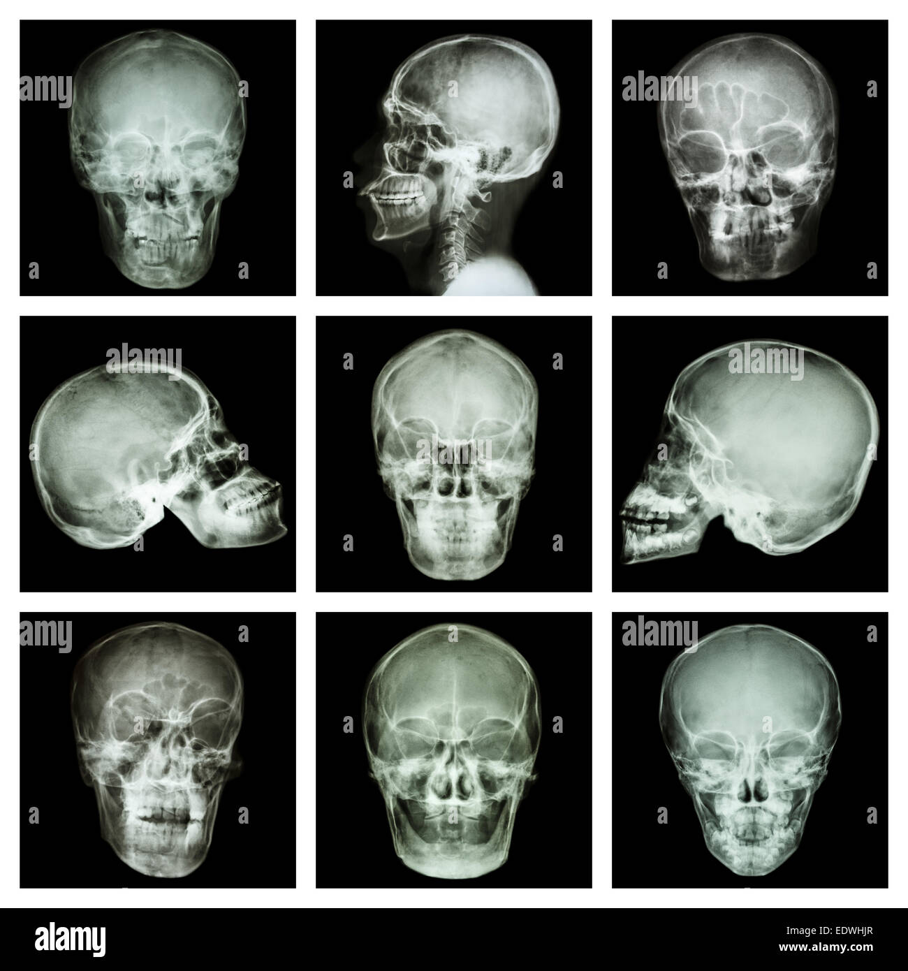 Collection of asian skull Stock Photo