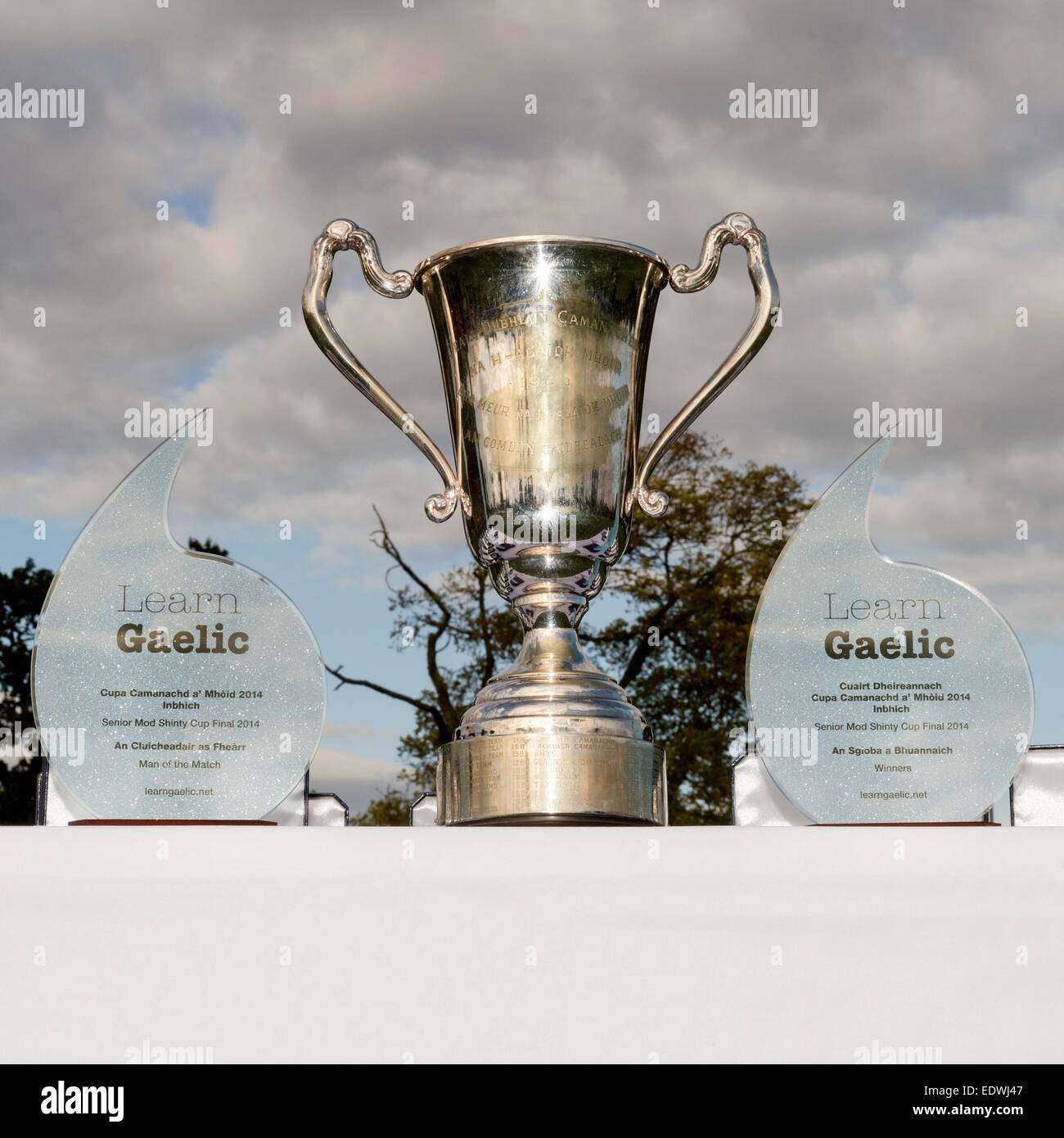 MOD Cup in Inverness in 2014, Boleskin v Inverness played that year and Boleskin won. Stock Photo