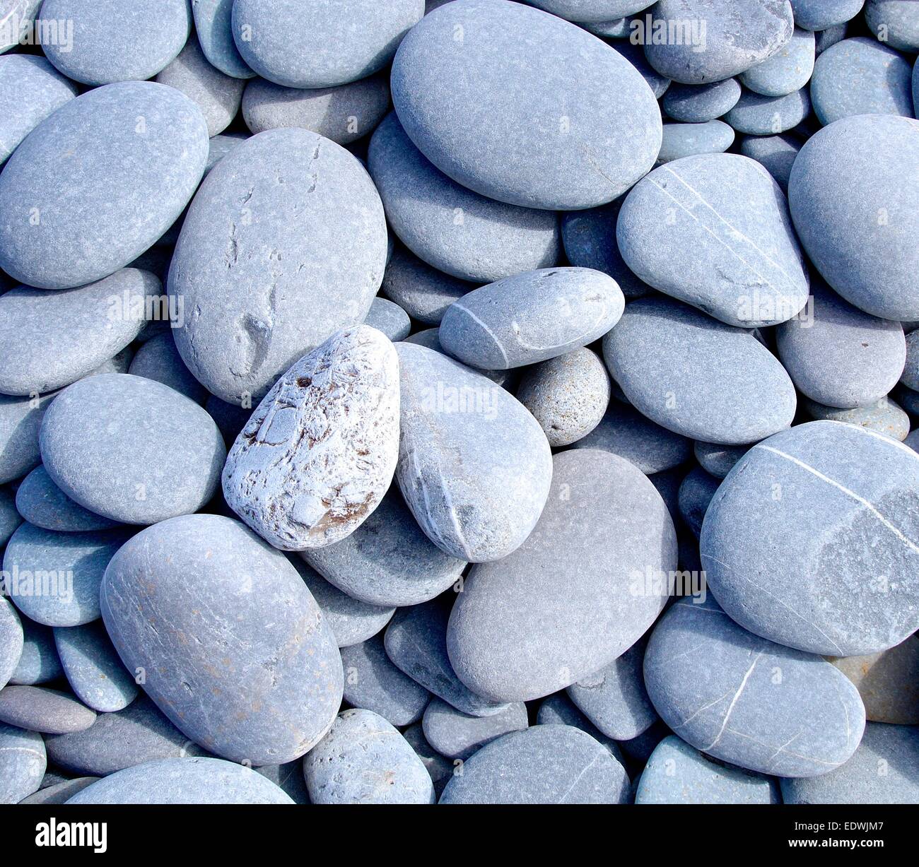 hard pebbles closeup on beach Stock Photo - Alamy