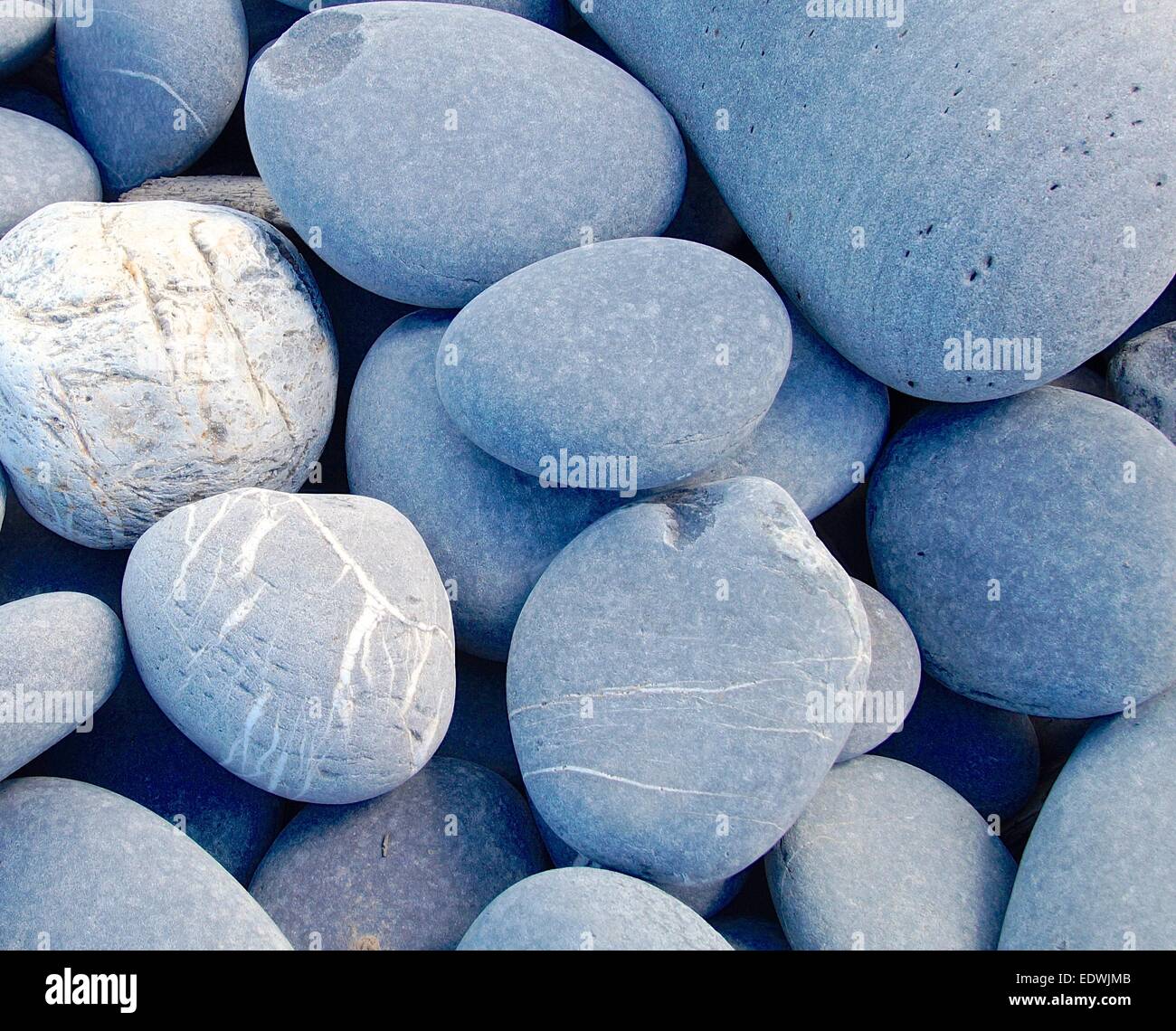 hard pebbles closeup on beach Stock Photo - Alamy