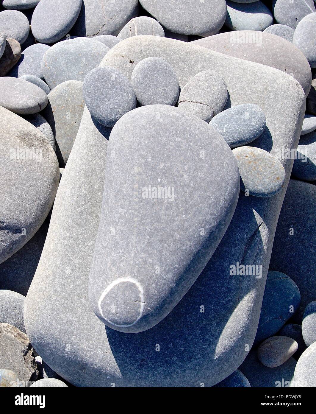 hard pebbles closeup on beach Stock Photo - Alamy