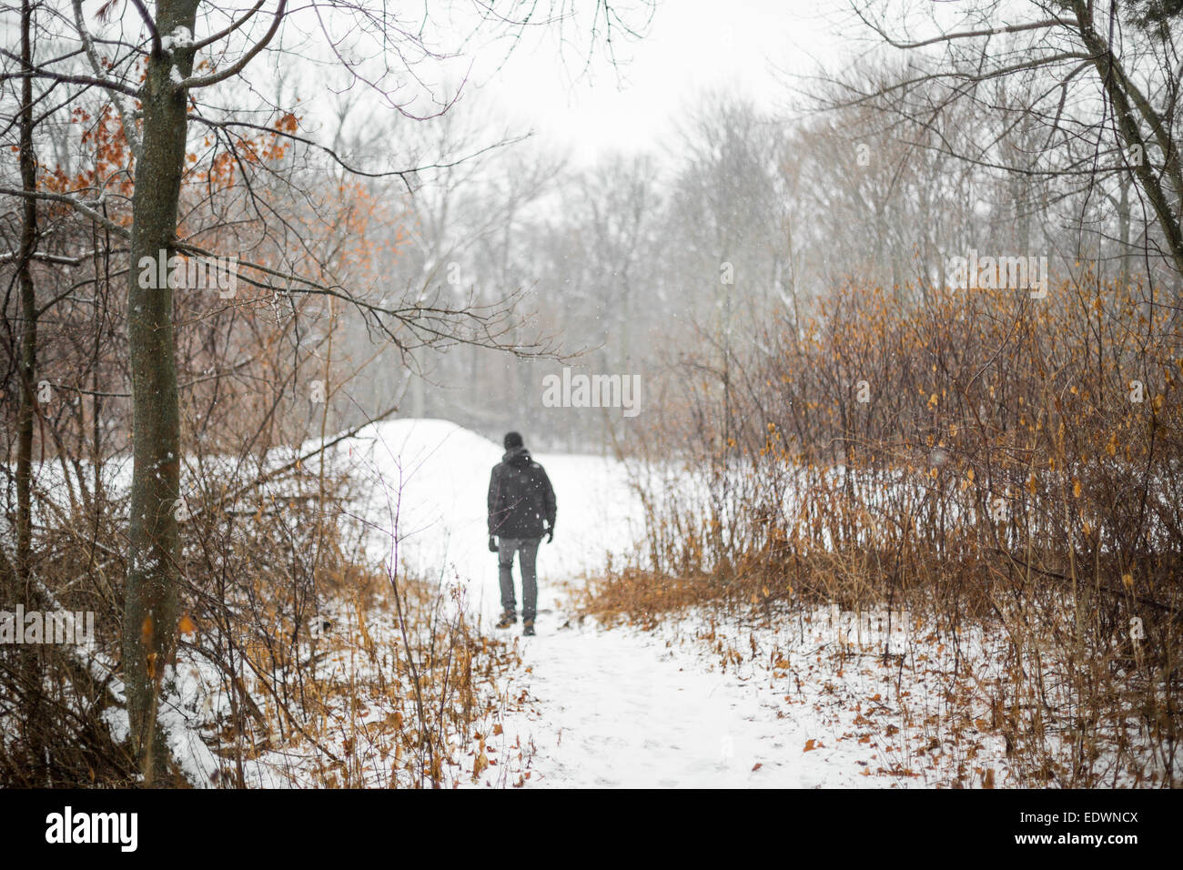 A man walking on a path through a snowy forest Stock Photo