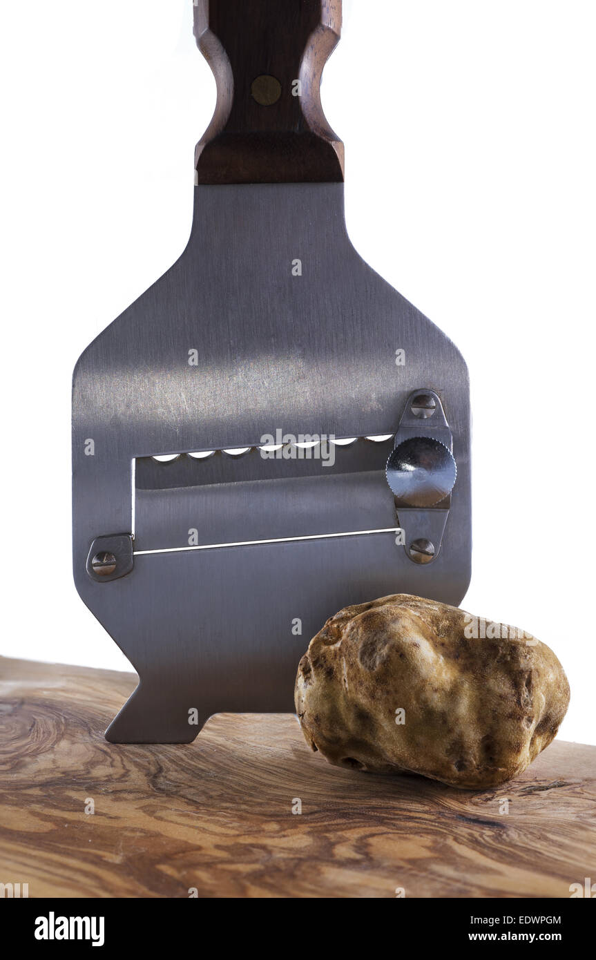 expensive white truffle from Alba and steel slicer Stock Photo