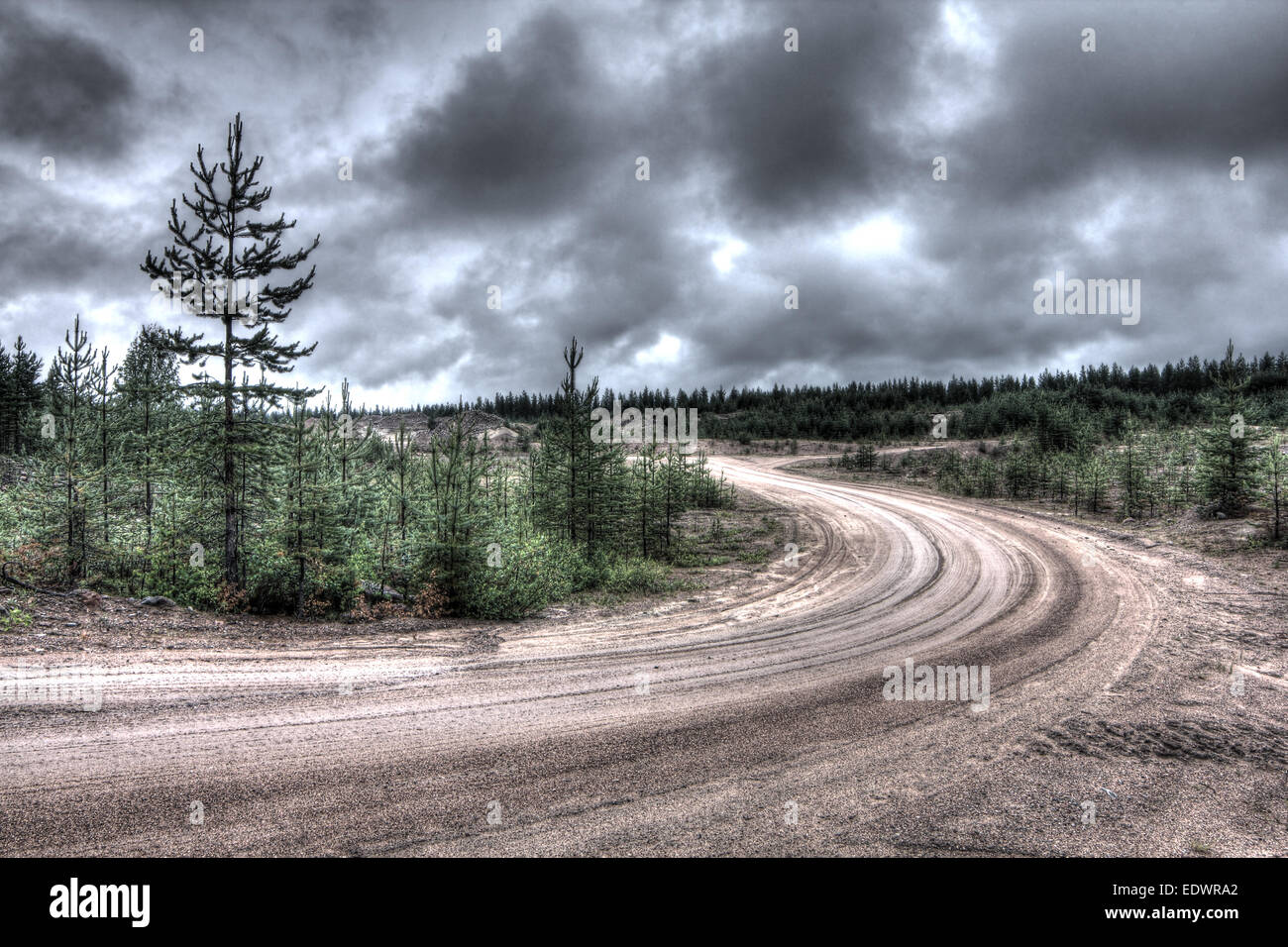 Summer landscape with green field, forest and rural road Stock Photo ...