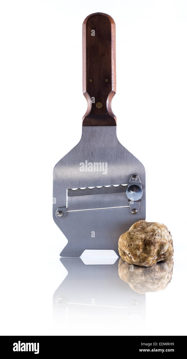 expensive white truffle from Alba and steel slicer Stock Photo