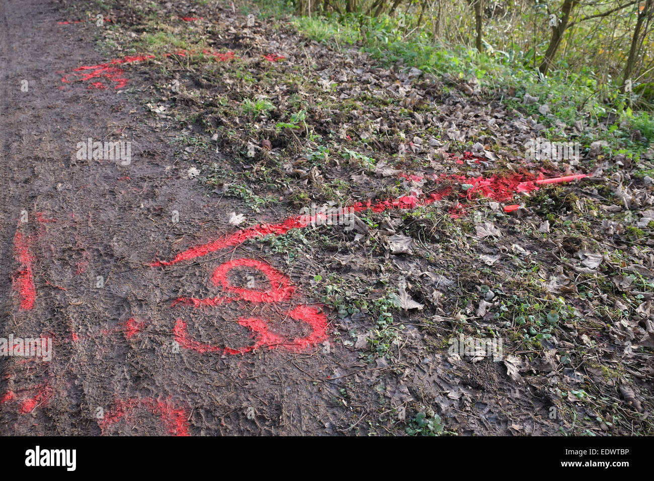 https://c8.alamy.com/comp/EDWTBP/gas-leak-detection-paint-marking-beside-a-rural-road-10th-january-EDWTBP.jpg