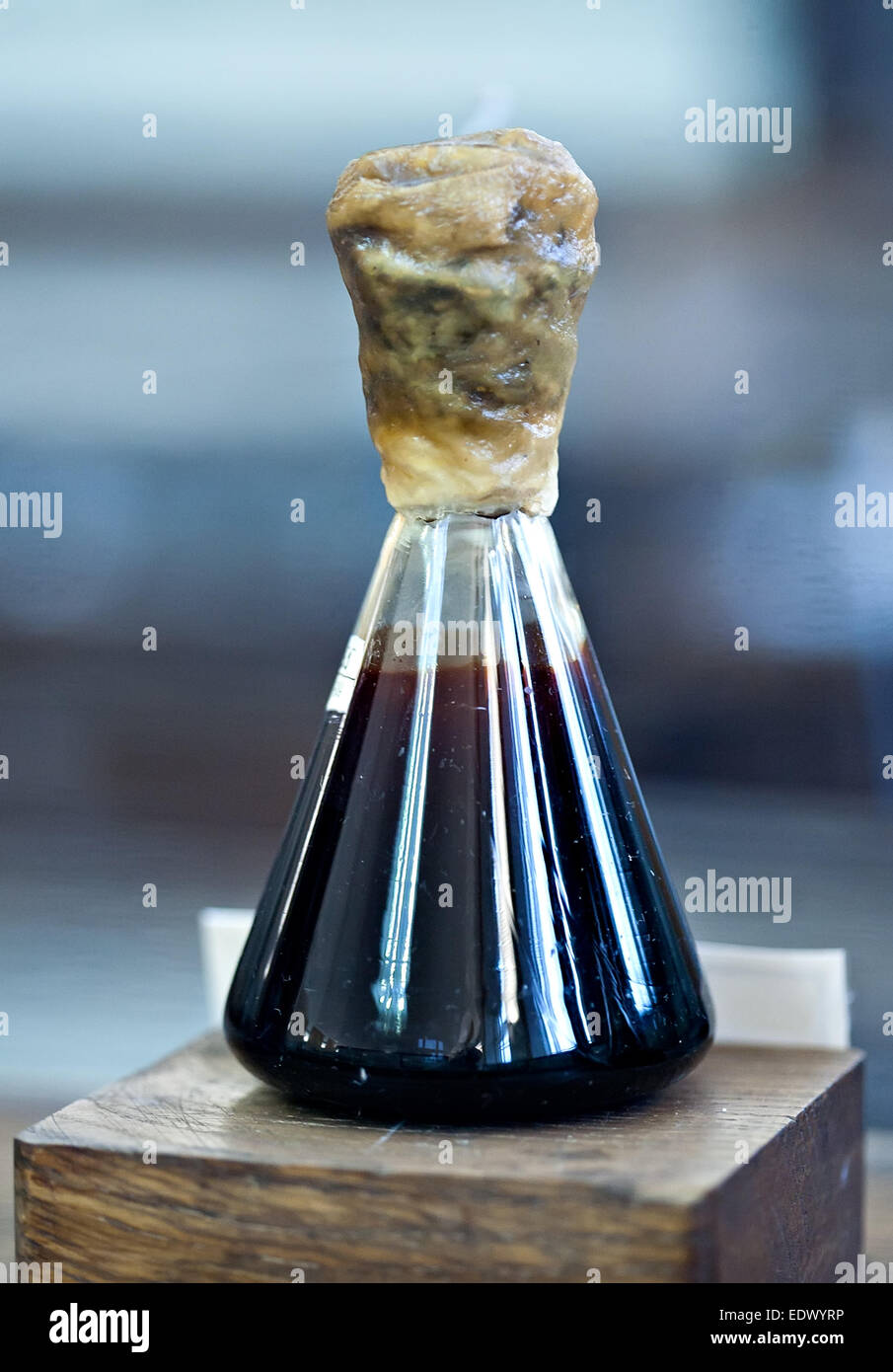 small glass vial with black petroleum oil Stock Photo