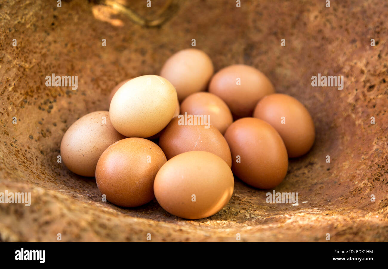 brown eggs in cork basket, against dappled sunshine Stock Photo