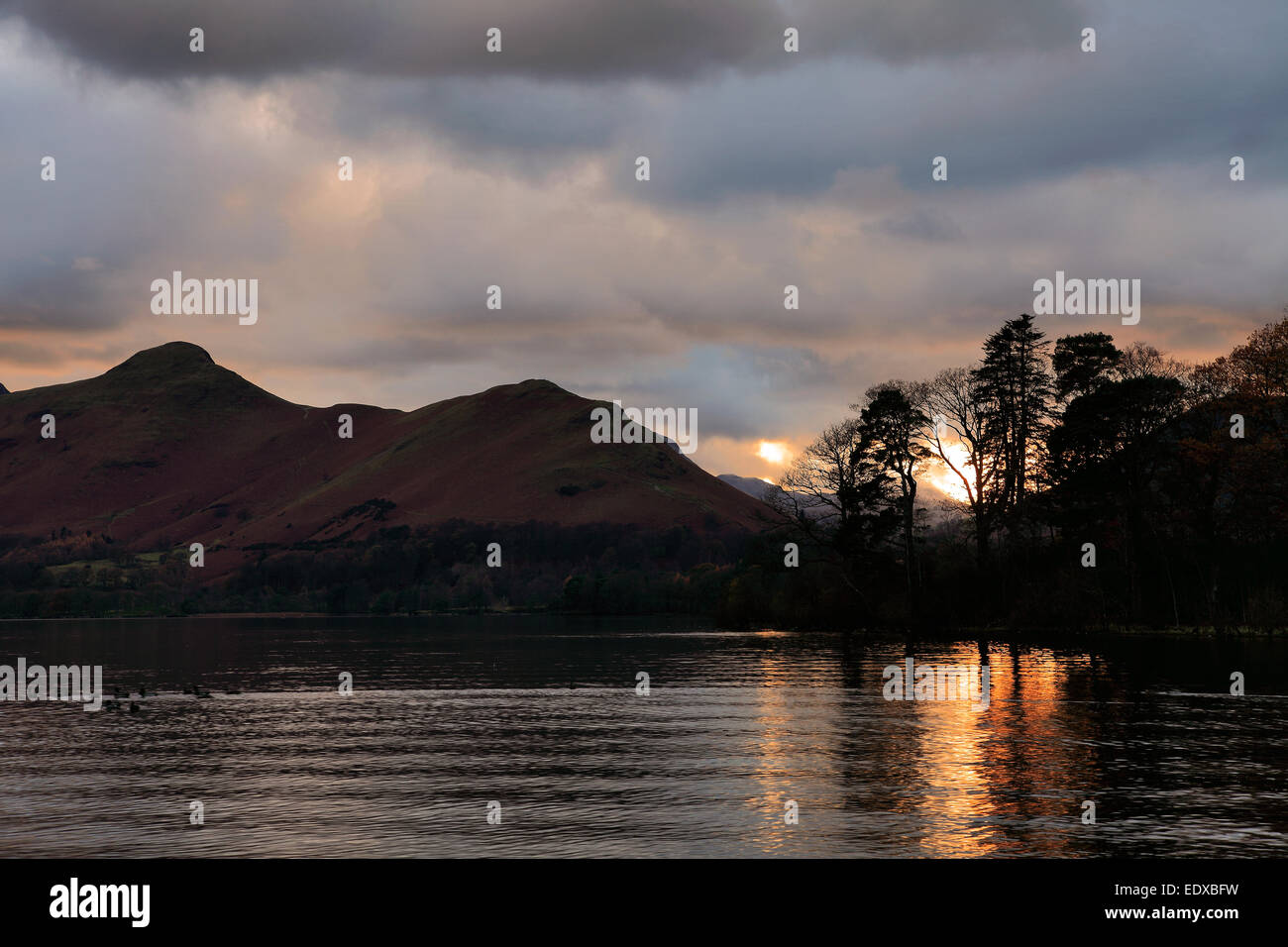 Cat bells at dawn hires stock photography and images Alamy