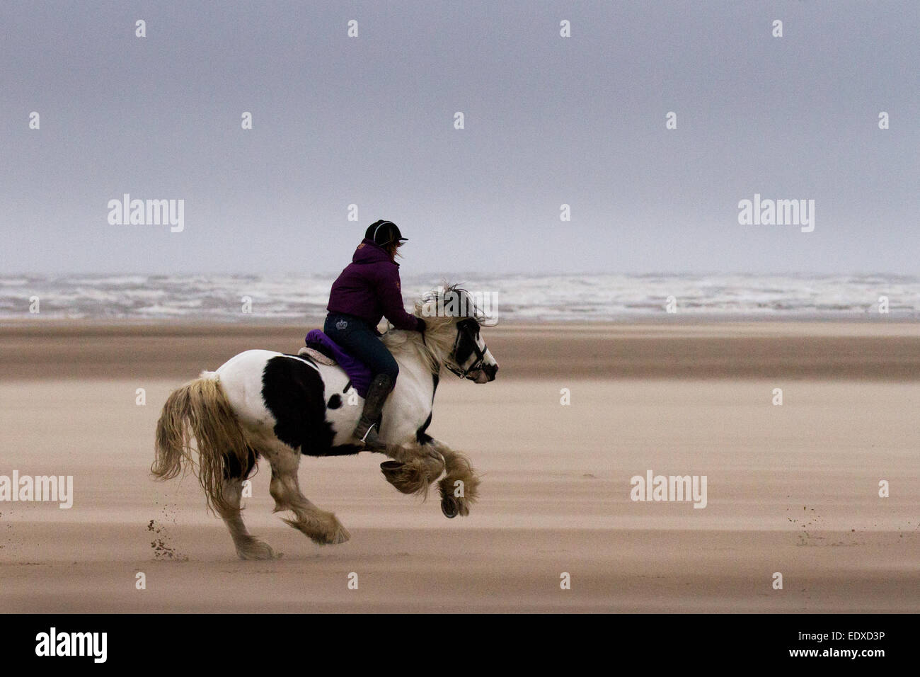 Southport, Merseyside, UK.   11th January, 2015 UK Weather. 'Galloping horses'   Horse rider, Hayley Davies, taking advantage of the long expanse of fine firm sand to exercise her horse, albeit in difficult conditions with gale force wind blown sand.  Activities, sports, and pursuits on the beach at Ainsdale in spite of the high winds, rough seas and overcast skies.  Credit:  Mar Photographics/Alamy Live News Stock Photo