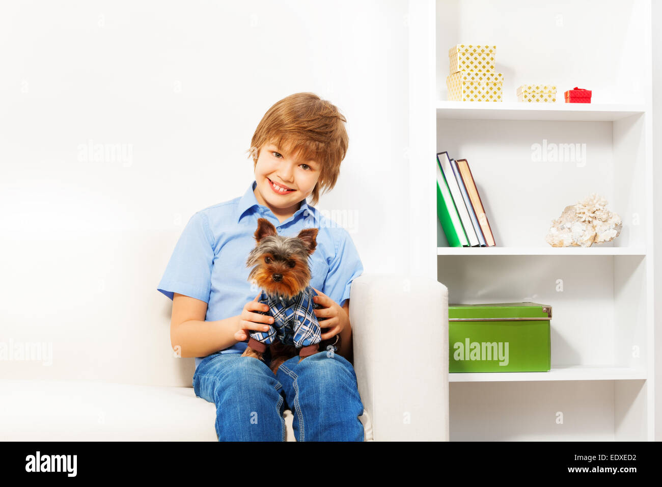 Brown Yorkshire Terrier with happy boy sitting Stock Photo