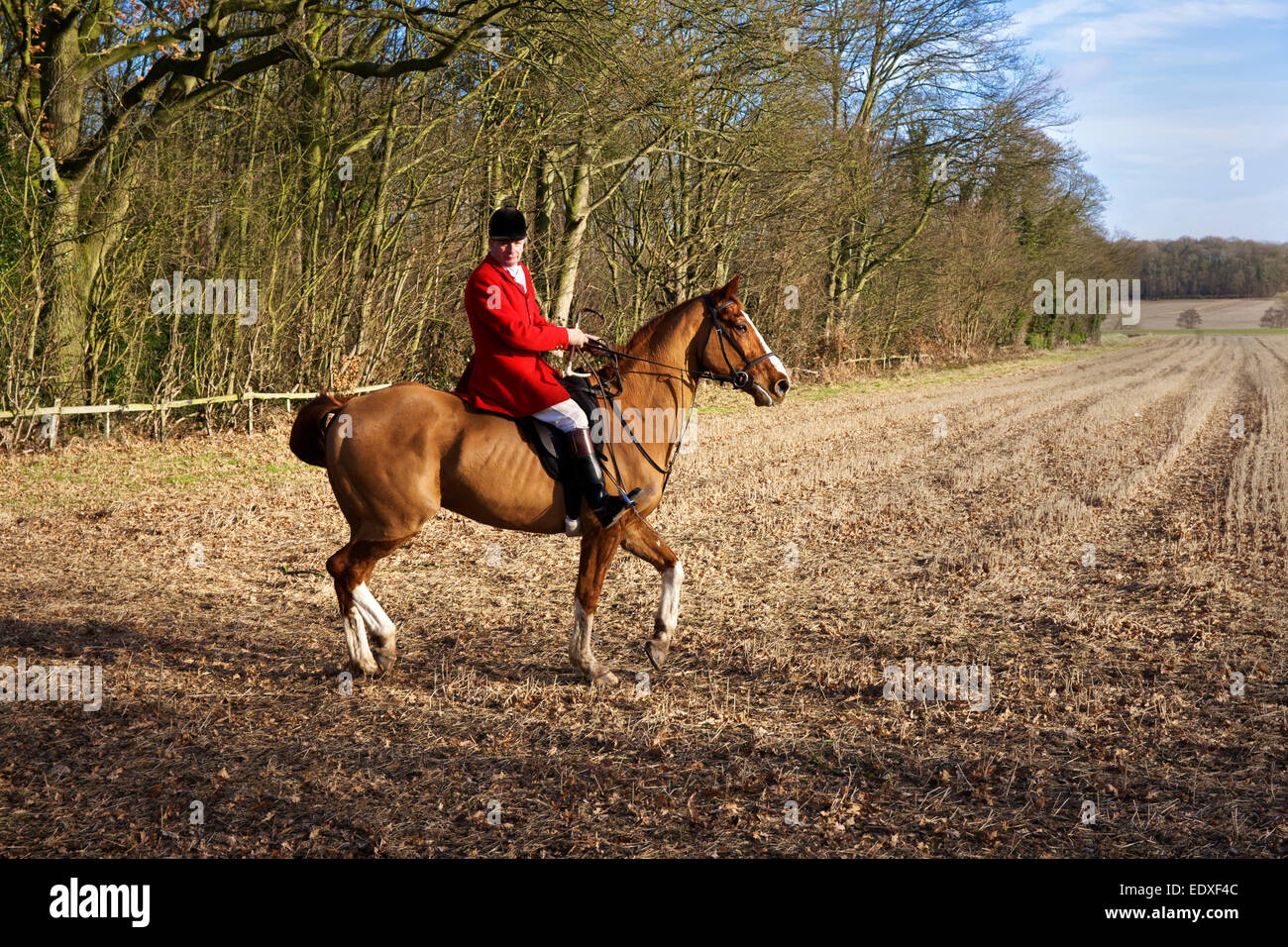 A Master of Foxhounds at a Drag Hunt UK Stock Photo Alamy