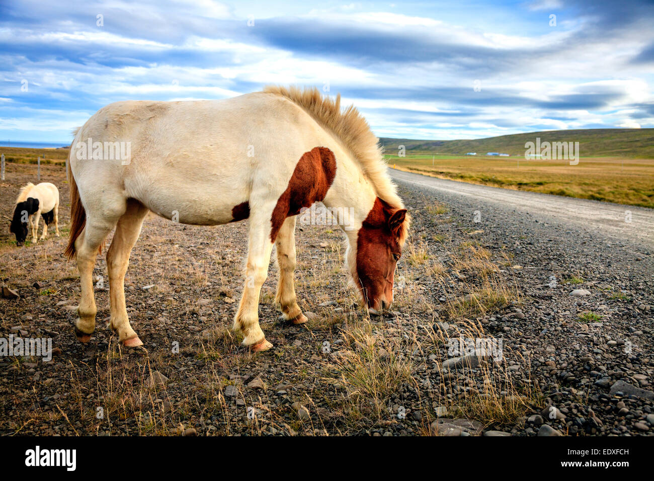 Pony road hi-res stock photography and images - Alamy