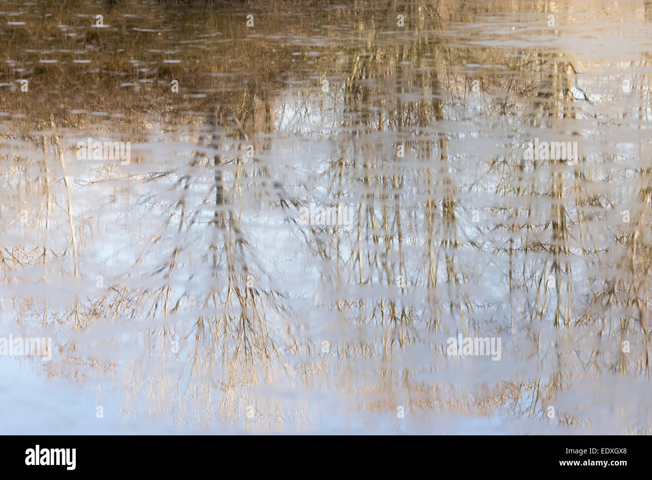 reflections of a frozen lake which reflects the trees Stock Photo