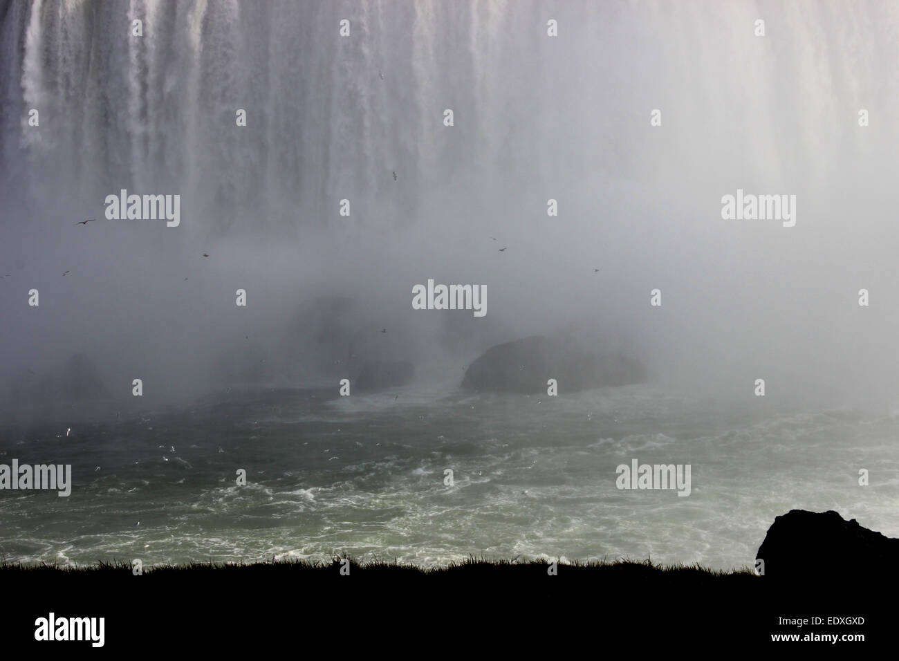 Niagara’s shocking Falls and scattered birds flying over splashing giant stones in the cold waters of Canadian rivers Stock Photo
