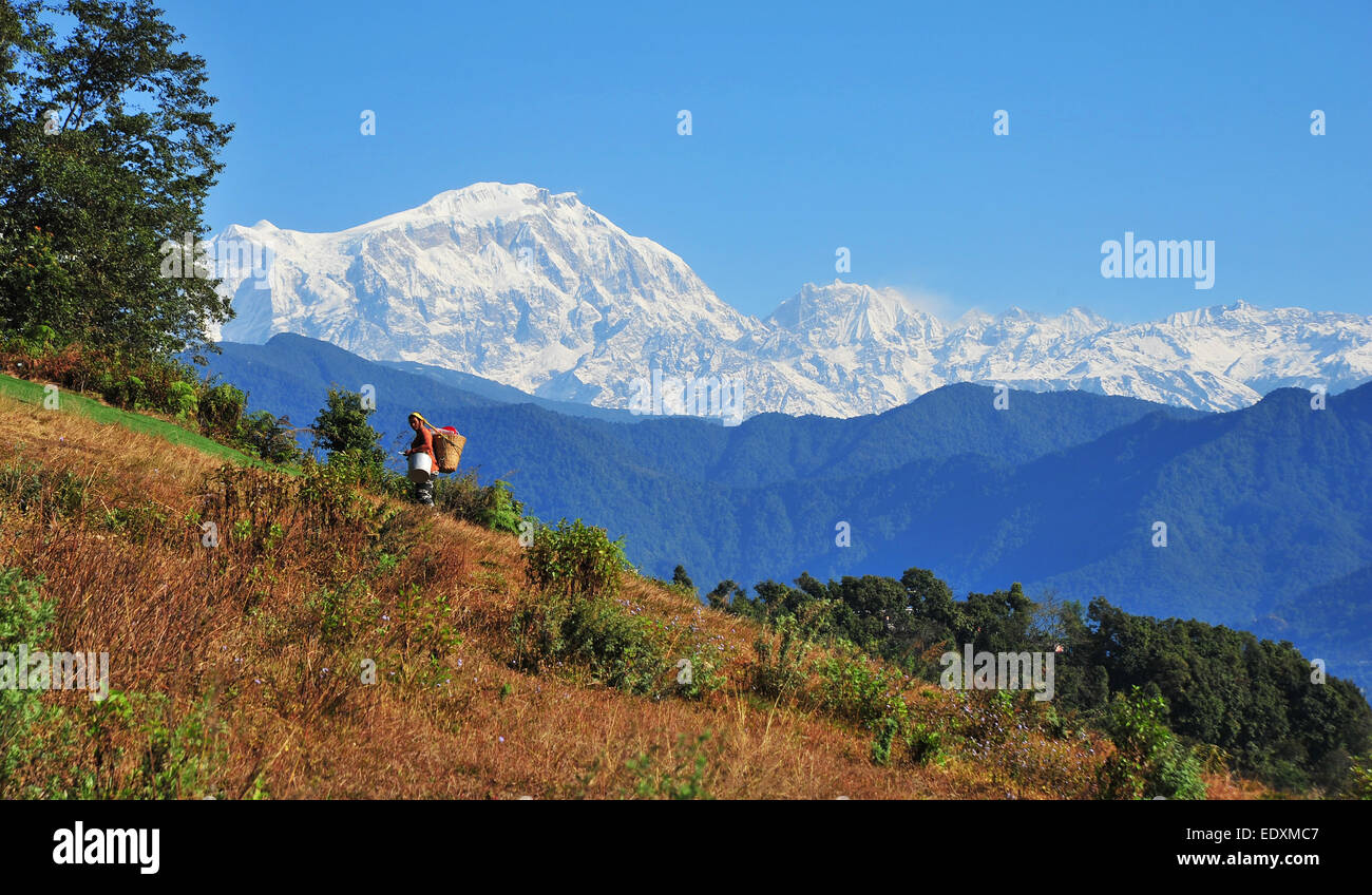 Nepal: Land of Himalayan wonders and cultural treasures, where ancient traditions meet breathtaking landscapes. Discover the magic of Nepal. Stock Photo