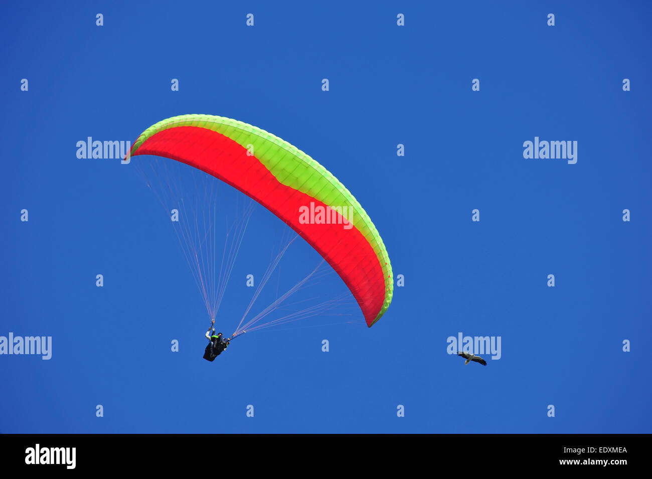 Nepal Land of Himalayan wonders and cultural treasures, where ancient