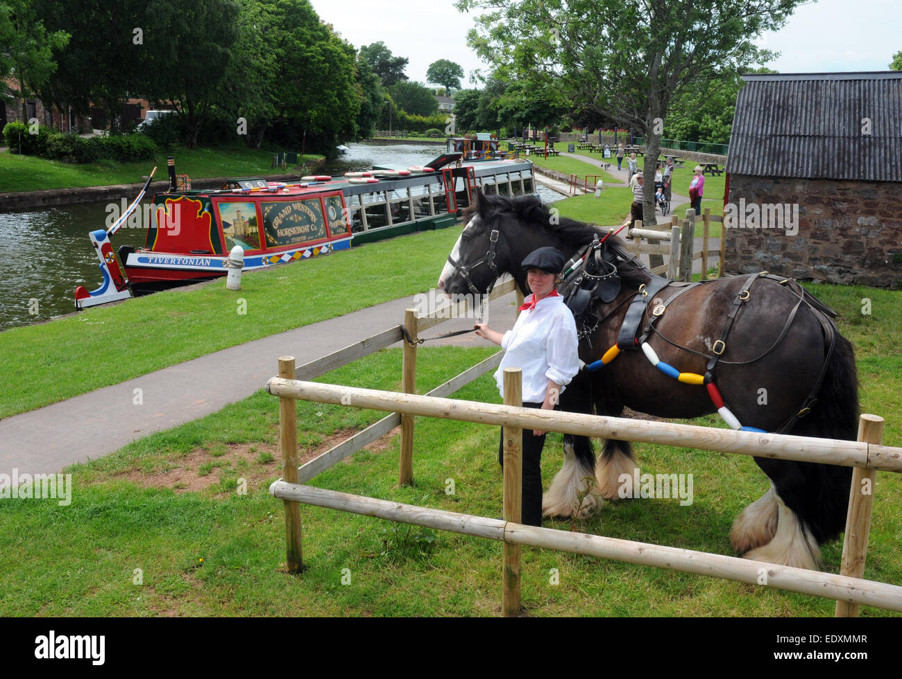 Ready for work on a horse drawn barge at the Great Western Canal, Tiverton, Devon Stock Photo
