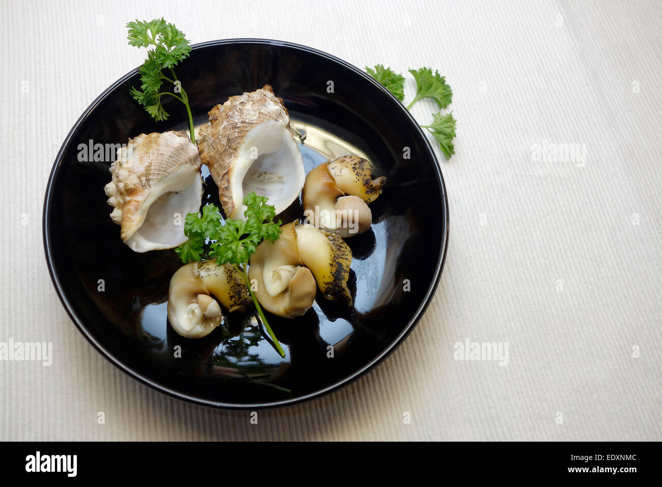 Boiled whelks for simple antipasto served on black saucer. Stock Photo