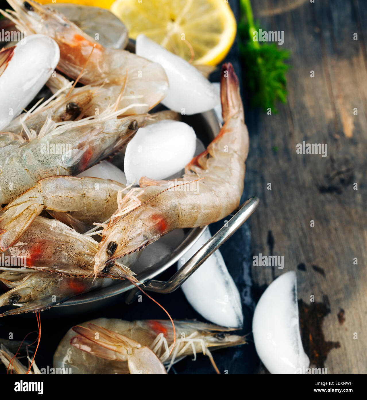Raw Shrimps on ice with fresh dill and lemon Stock Photo