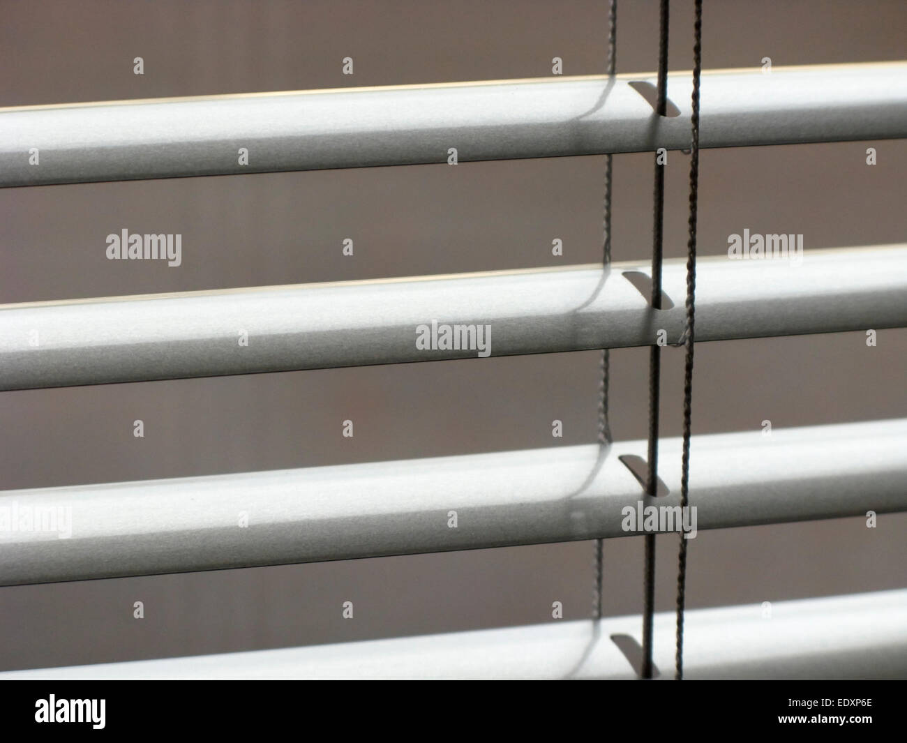 blind showing slat connection cords Stock Photo Alamy