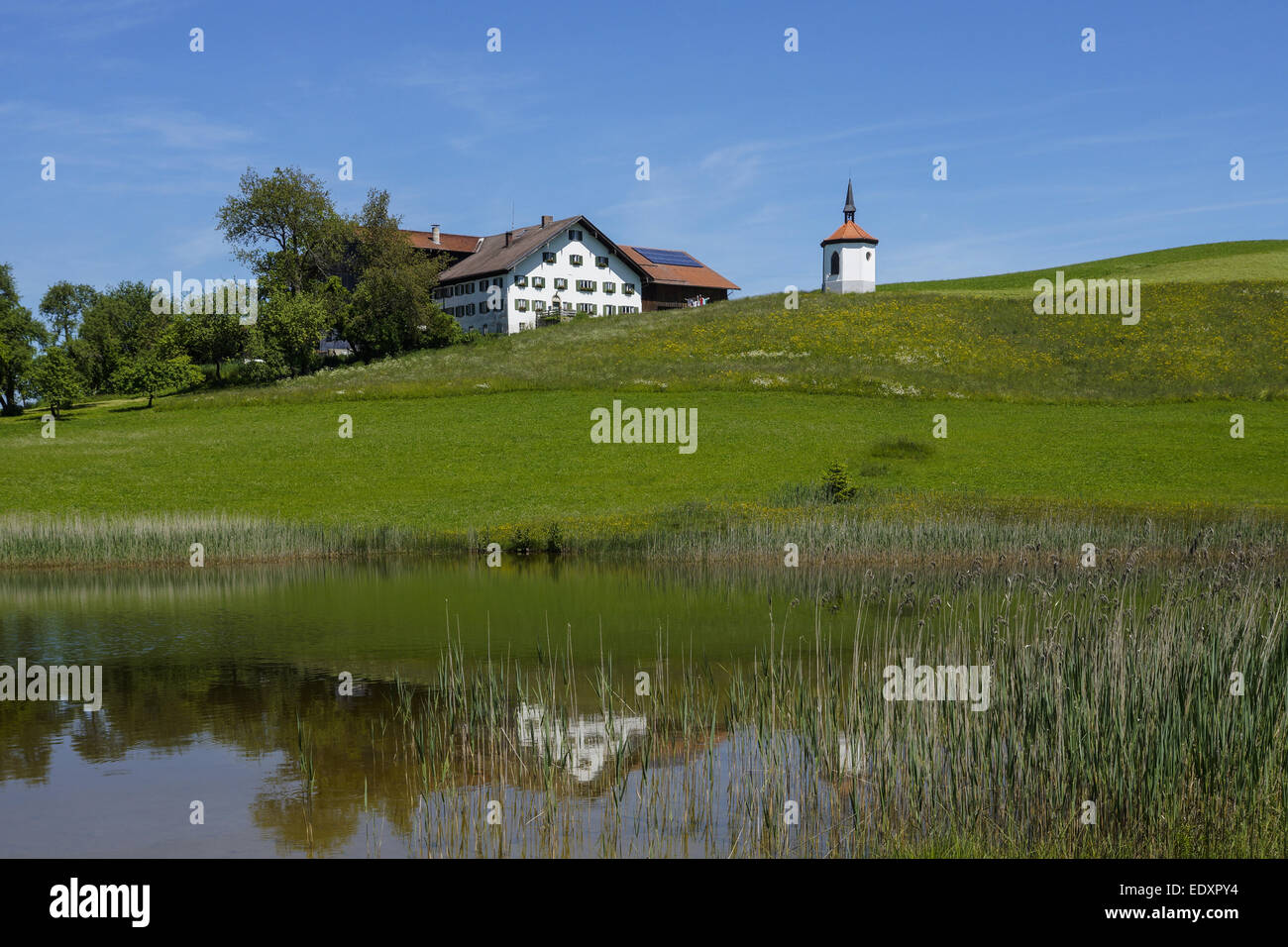 Bauernhof Am Hegratsriedersee Bei Fussen Ostallgau Allgau Bayern Deutschland Farm Beside Hegratsrieder Lake Near Fuessen O Stock Photo Alamy
