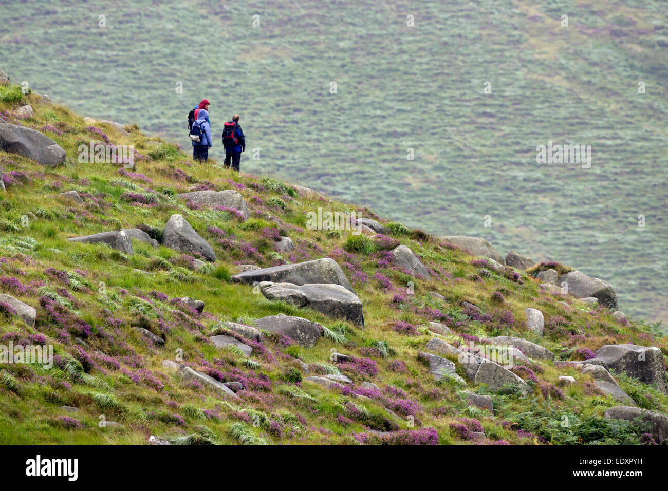 hillwalkers out walking on damp day on an irish mountain in the mournes Stock Photo