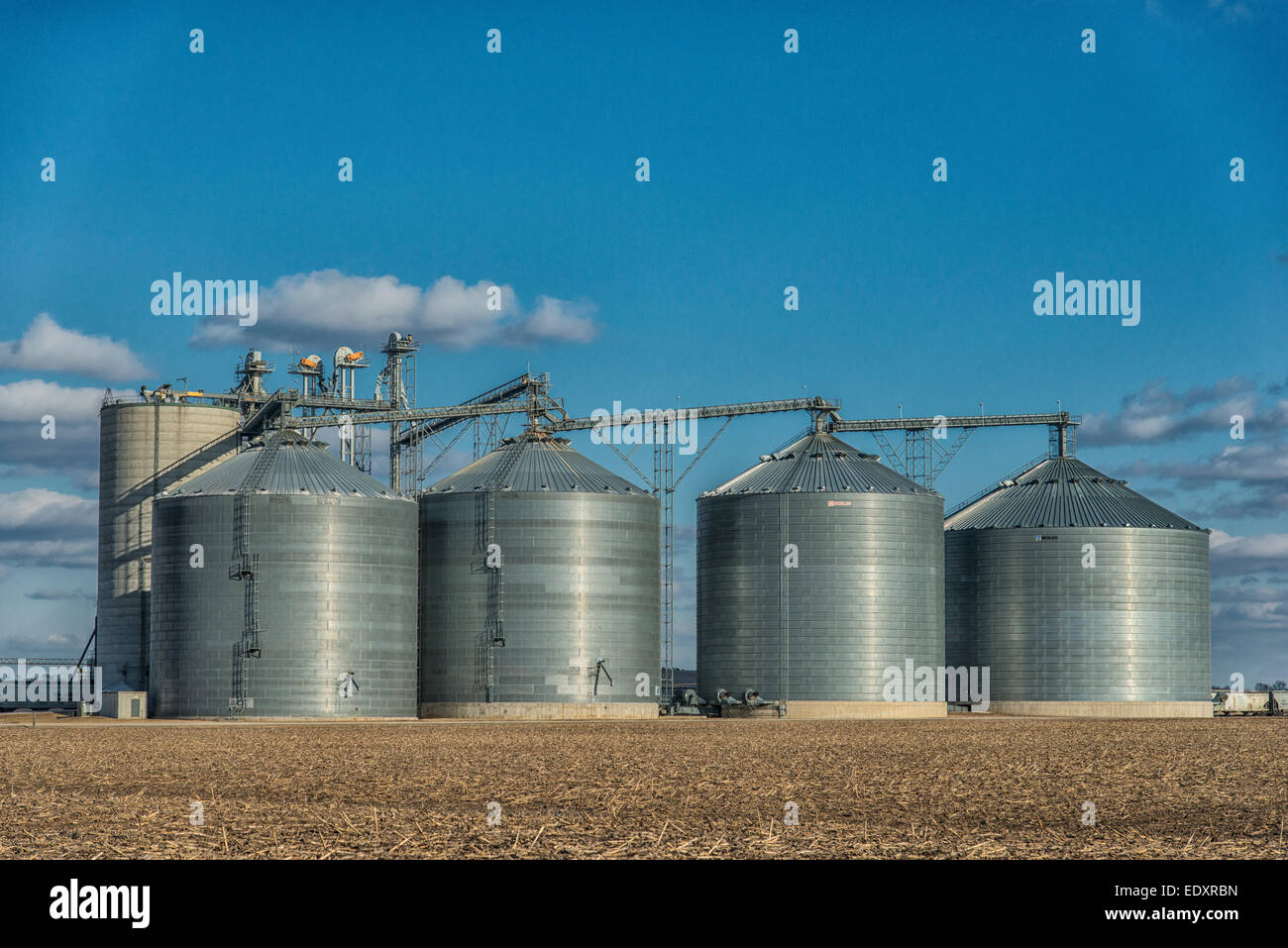 Grain storage bins in central Illinois farm region Stock Photo Alamy
