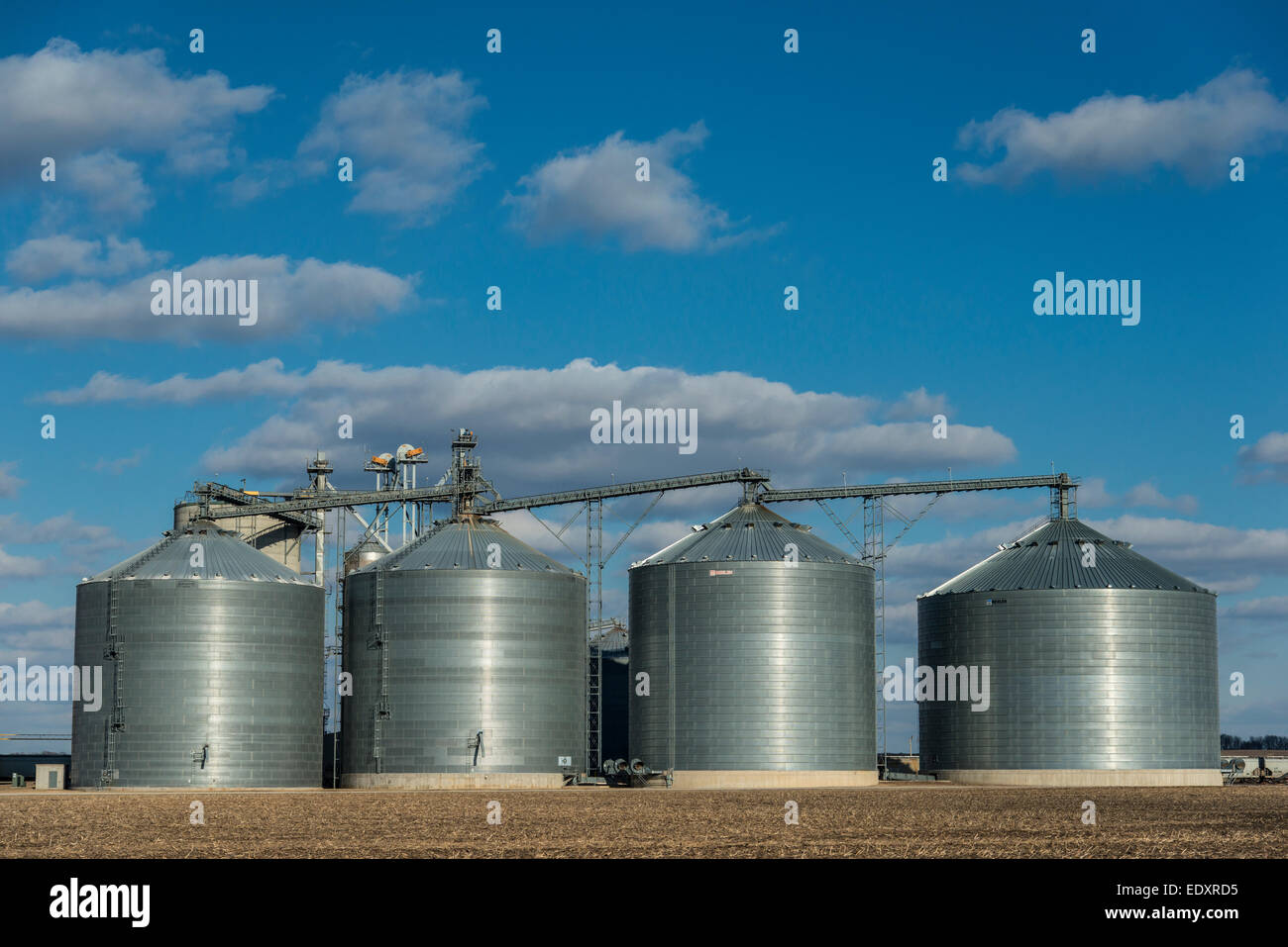 Grain storage bins in central Illinois farm region Stock Photo Alamy