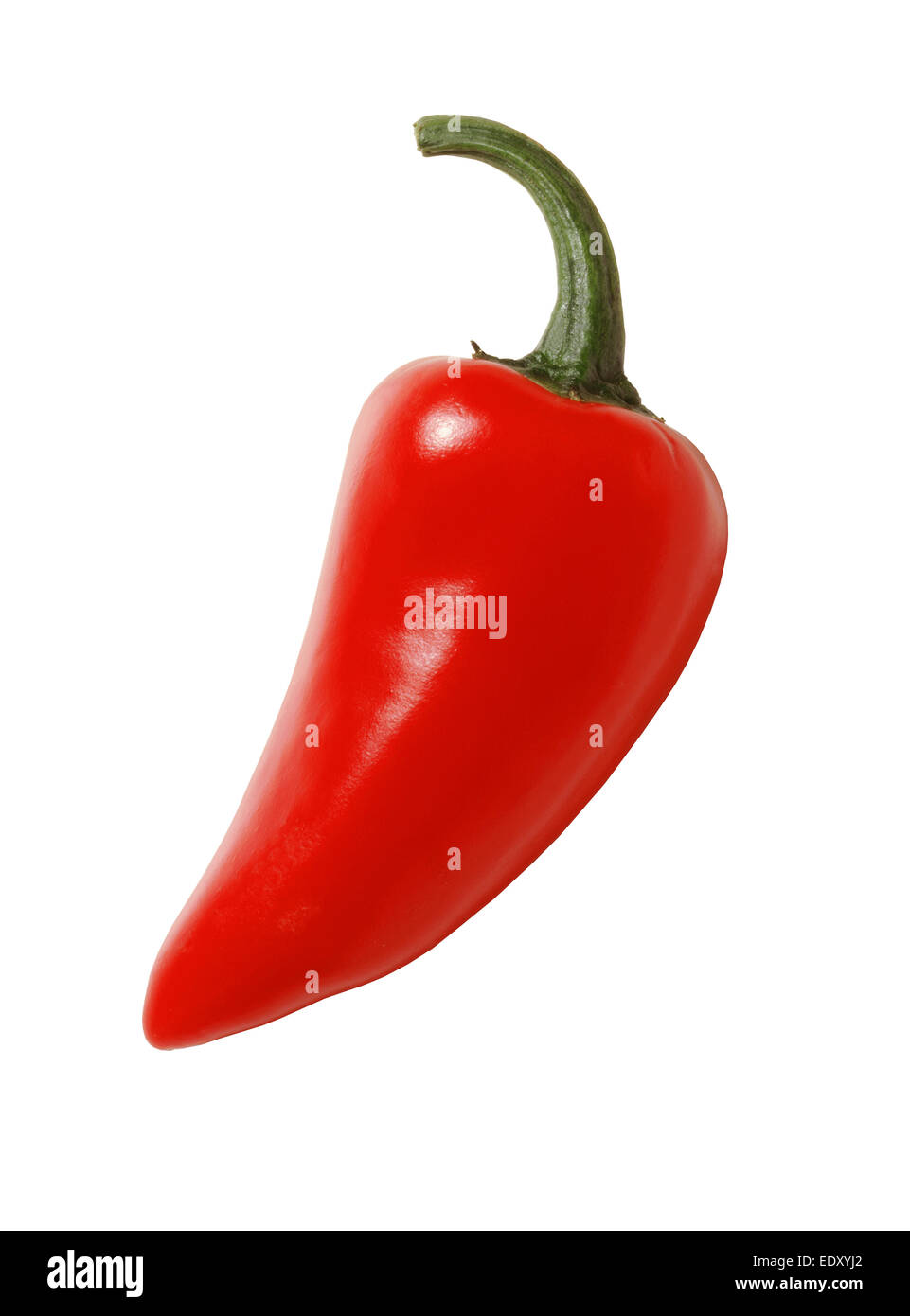Red jalapeno on white background Stock Photo