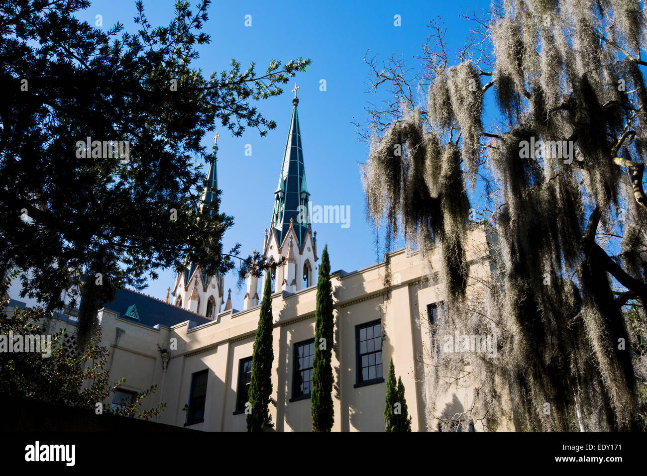 Savannah Georgia, The Cathedral of St. John the Baptist Stock Photo - Alamy