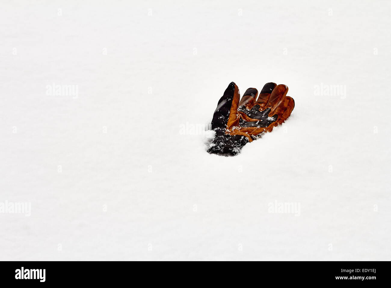Leather glove laying in snow Stock Photo