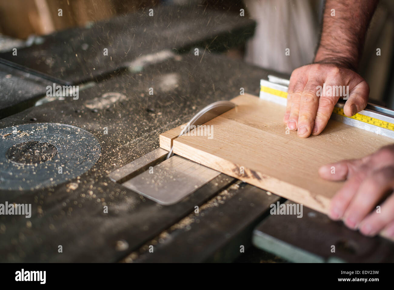 Carpenter working on the circular saw Stock Photo Alamy