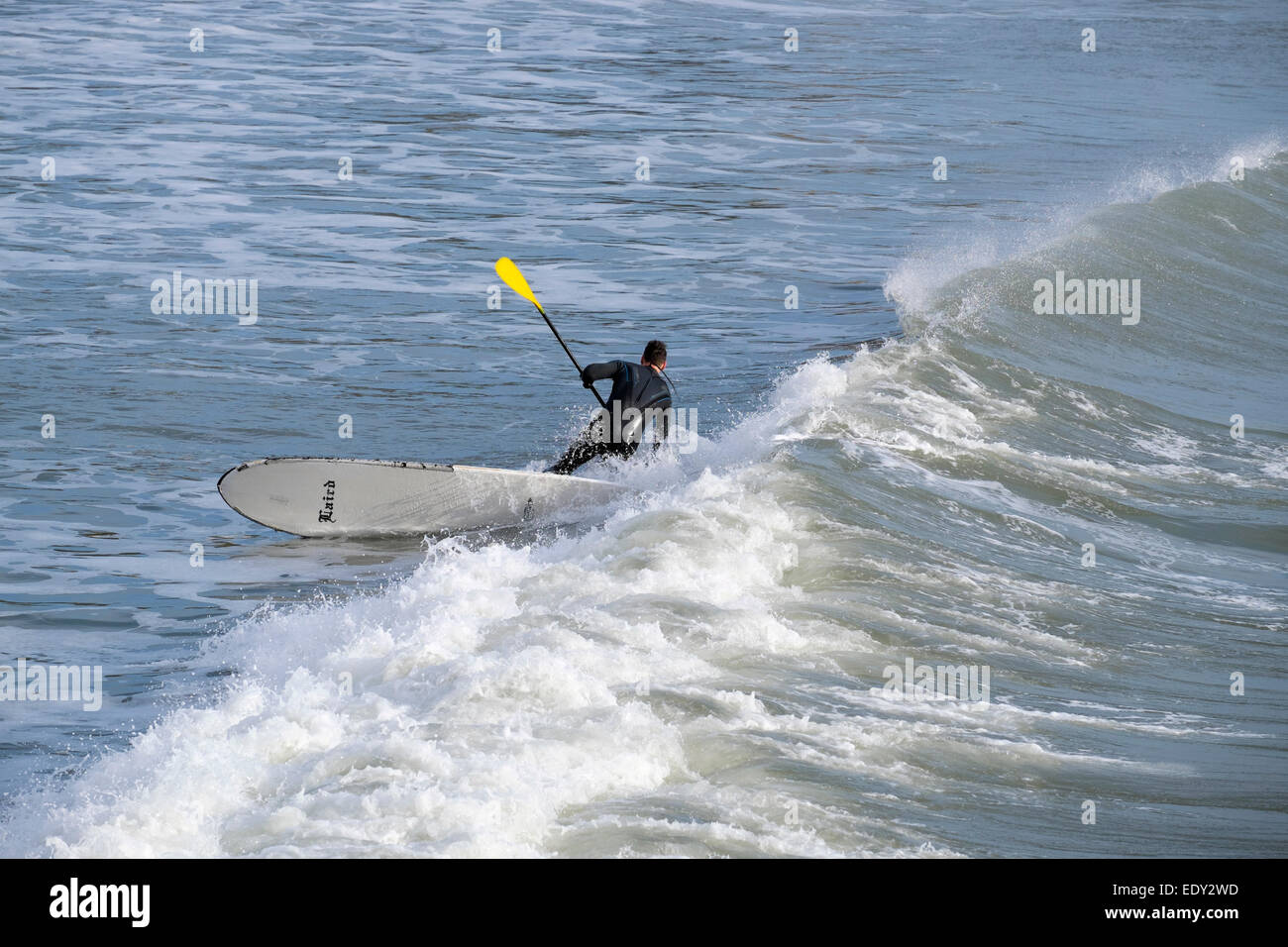 Stand up paddle boarder surfer standing on surfboard heading out to the