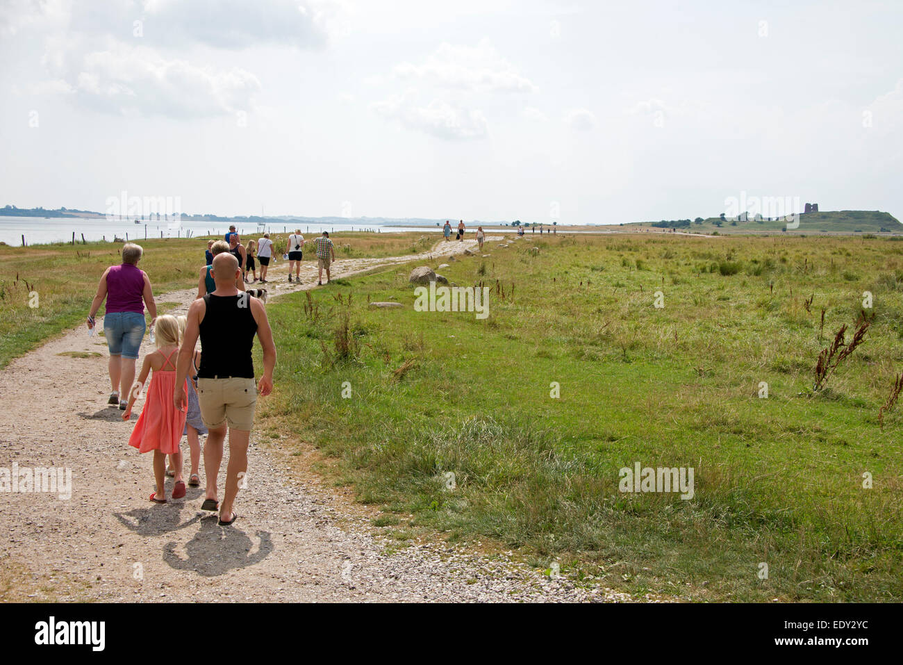 Visitors take the 15-minute walk to the Kalø Castle ruins from the car park  on the Marguerite route Stock Photo - Alamy