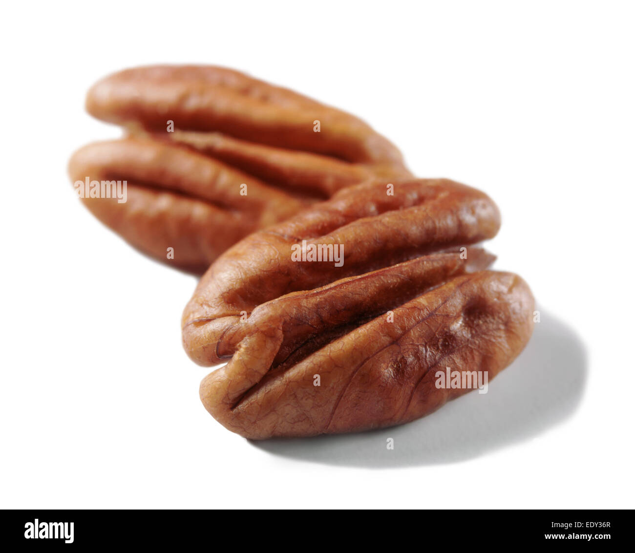 Pecans on white background without shell Stock Photo Alamy