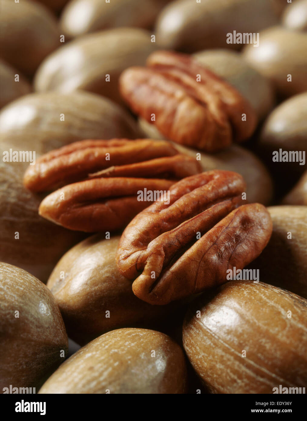Pecans with and without shell Stock Photo Alamy