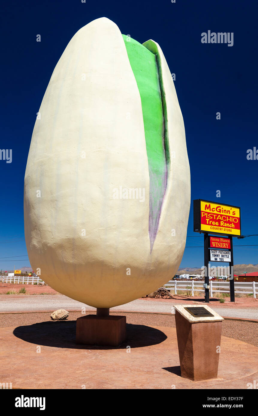 largest pistachio nut