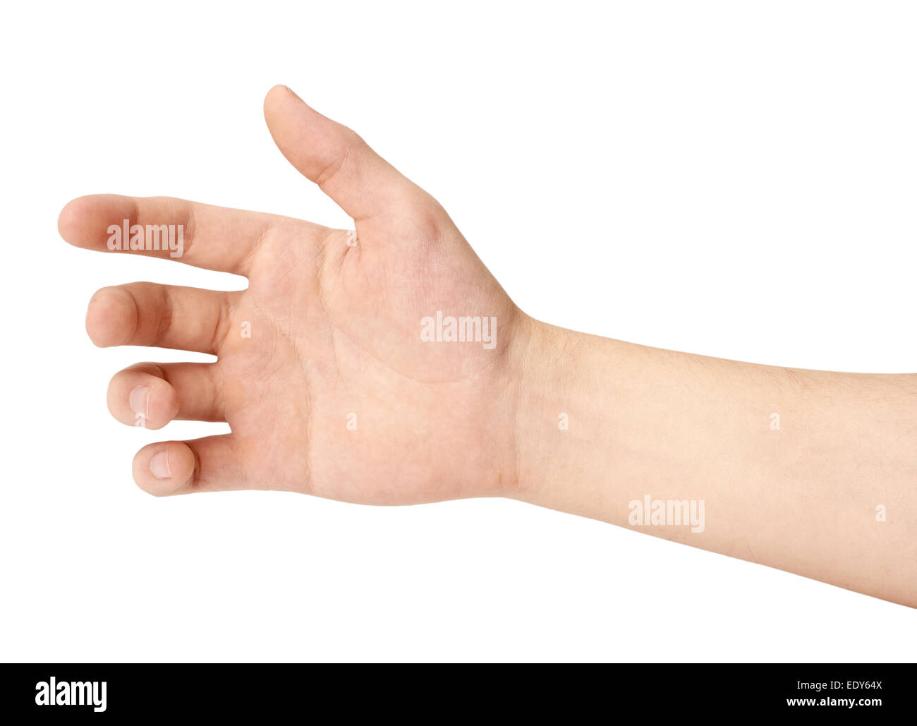 Hand of a man to hold card, mobile phone, tablet PC or other palm gadget, isolated Stock Photo