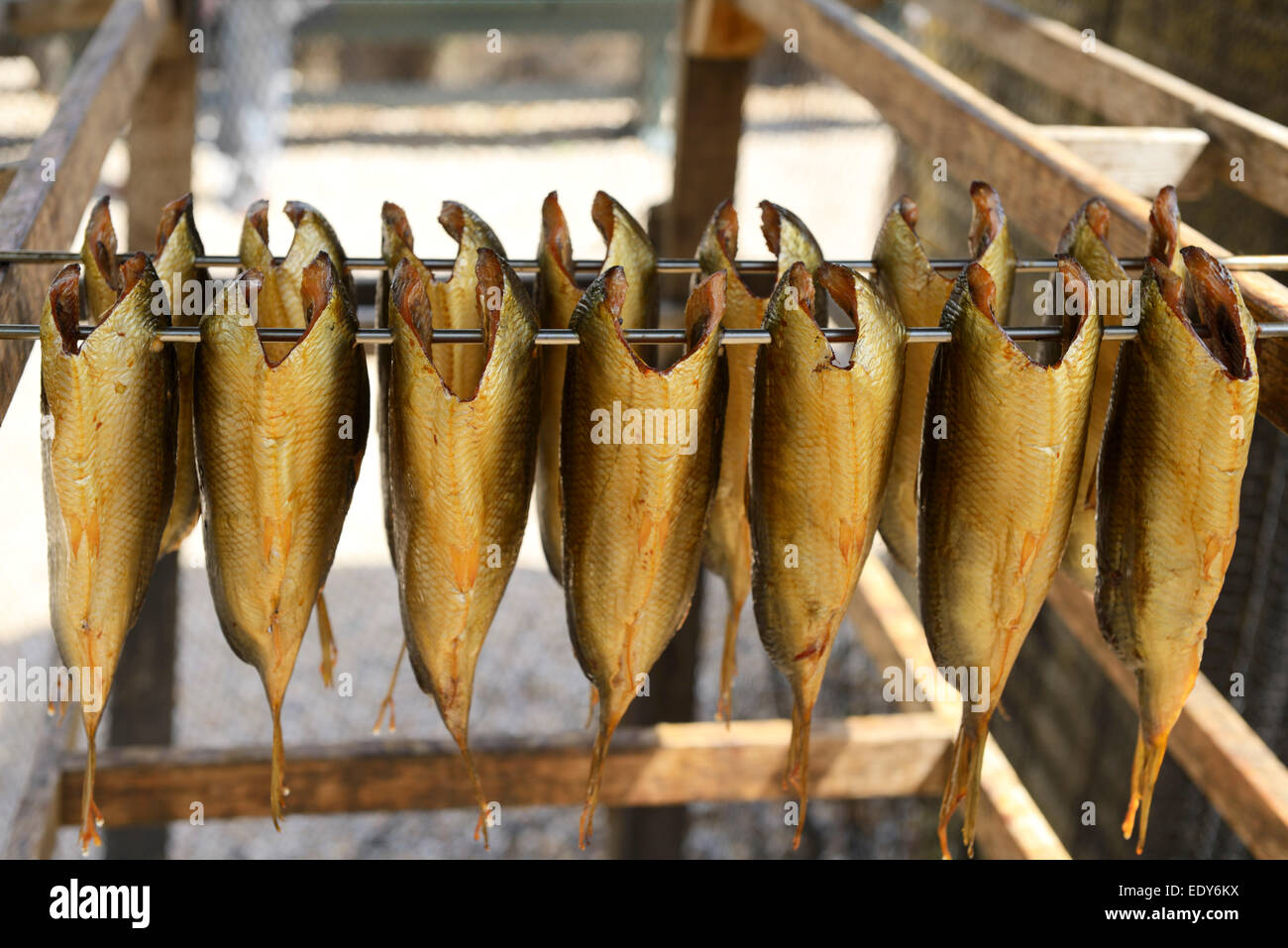 Kippers curing, Zuidersee open air museum, Lake Ijssel, Enkhuizen, North Holland, Netherlands, Europe Stock Photo