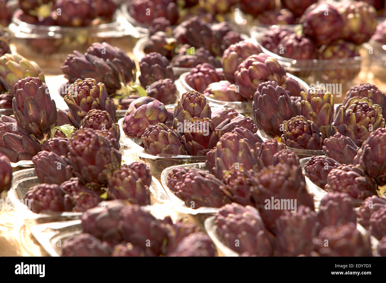 baby artichokes at farmer's market in trays Stock Photo Alamy