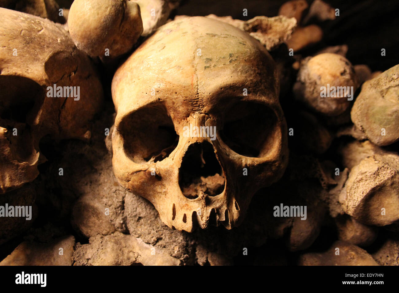 Parisian Skull Stock Photo