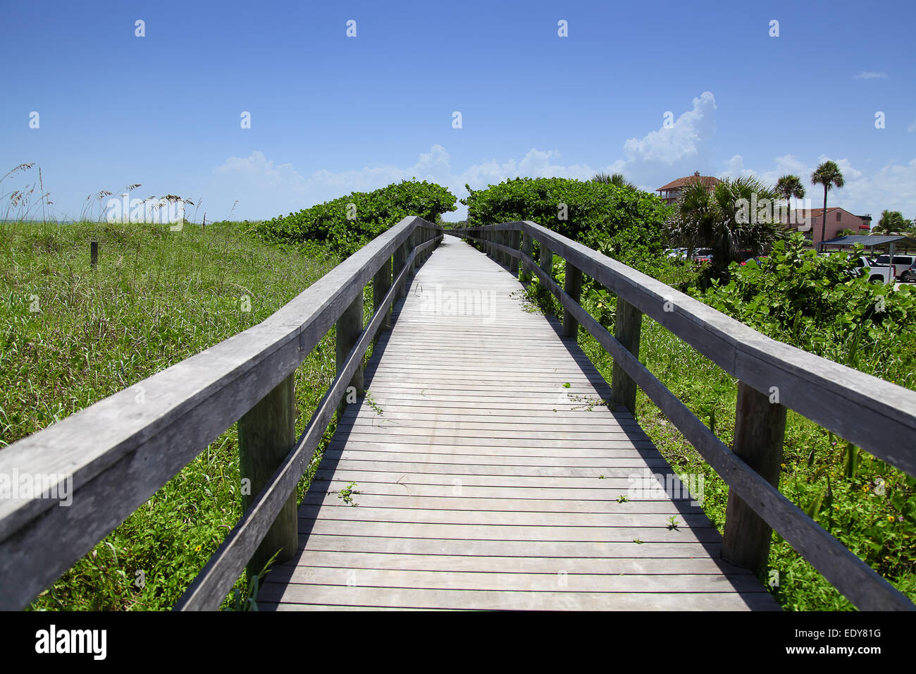 Wooden sidewalk,florida,cocoa beach,orlando florida Stock Photo