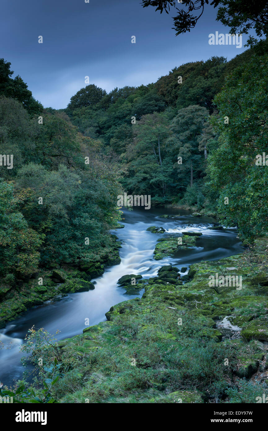 High view of the River Wharfe flowing through a narrow, steep-sided valley bordered by Strid Wood - Bolton Abbey Estate, Yorkshire Dales, England, UK. Stock Photo