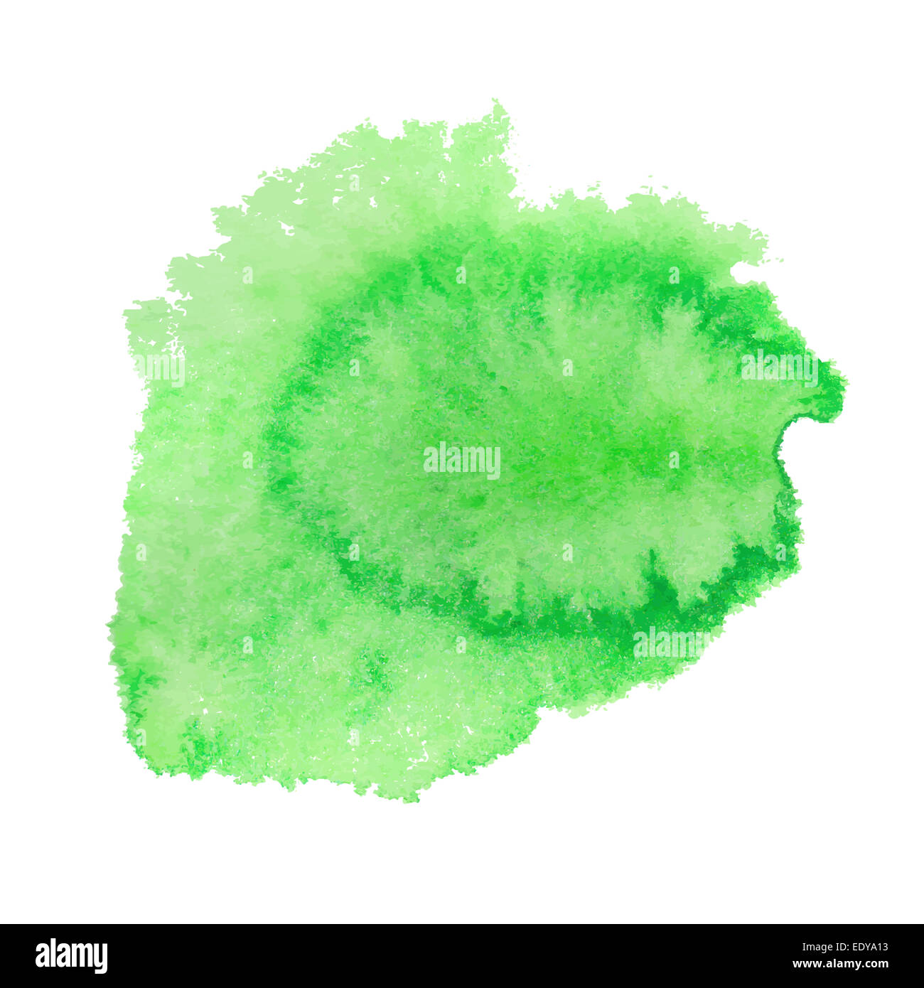Green watercolor spot. Vector illustration Stock Photo - Alamy