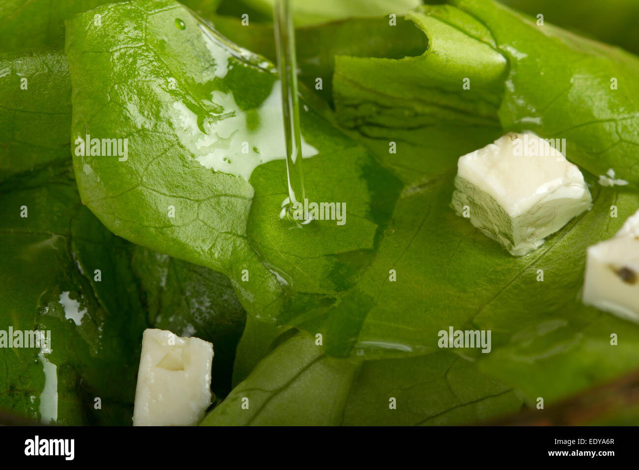 Pouring oil over some green lettuce with cheese Stock Photo