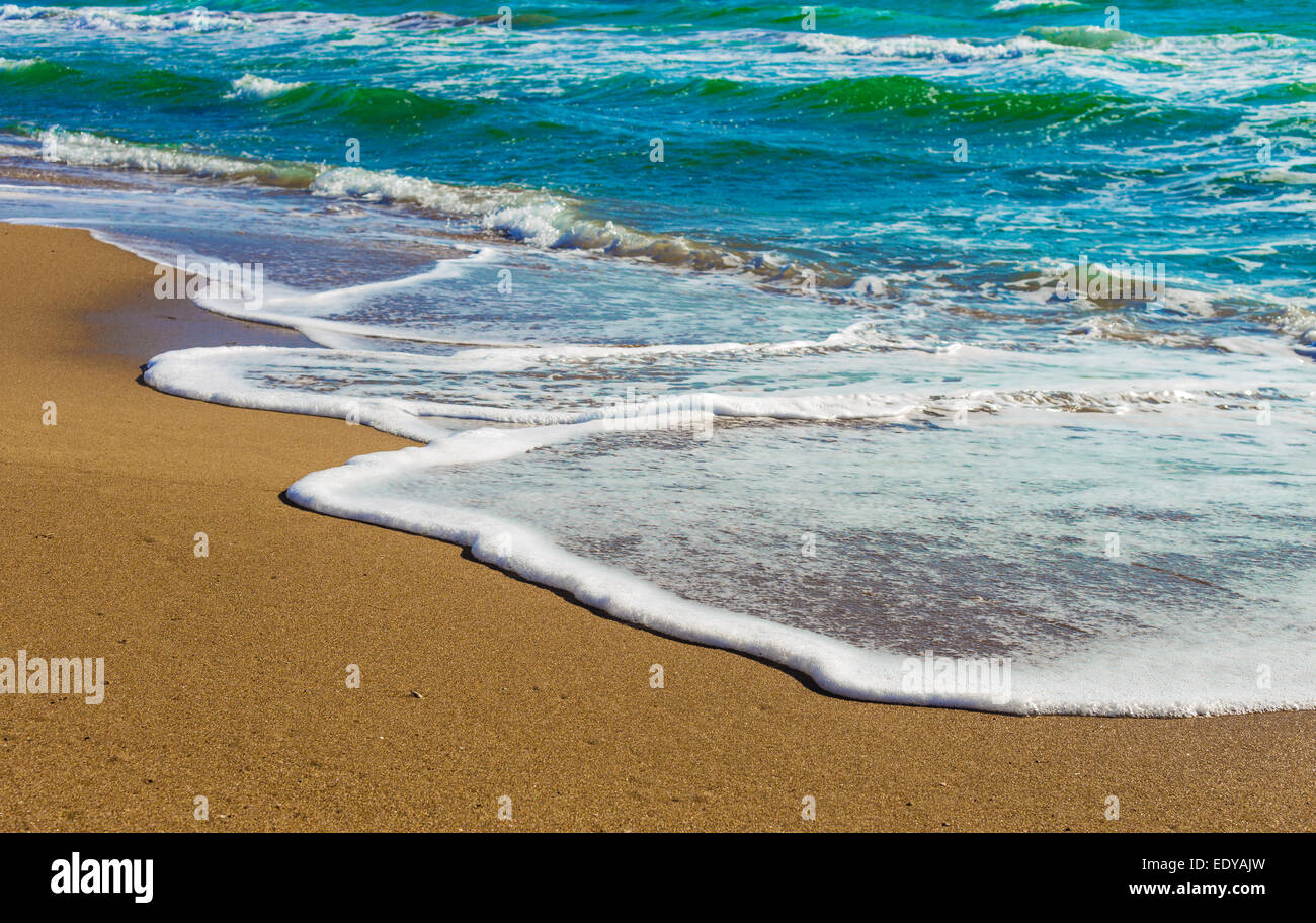 foamy wave of the sea on the sandy beach Stock Photo - Alamy