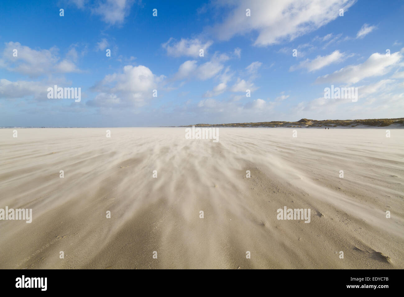 Sand blowing over a vast beach Stock Photo